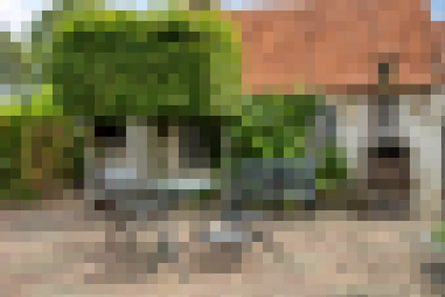 Oliemolenstraat 1 Uden thumbnail 33
