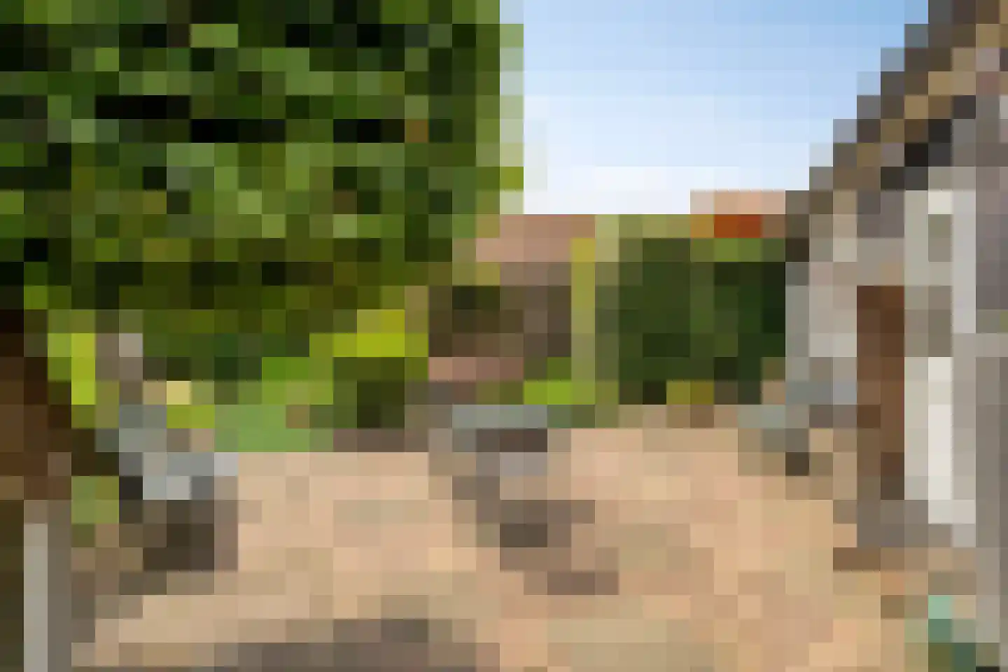 Oliemolenstraat 1 Uden thumbnail 34