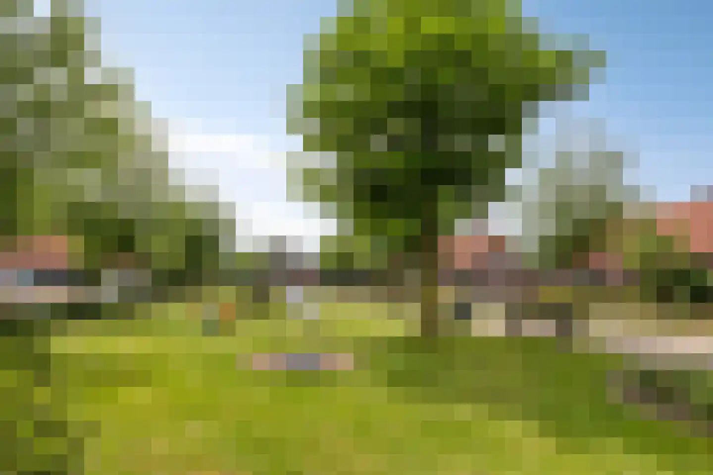 Oliemolenstraat 1 Uden thumbnail 38
