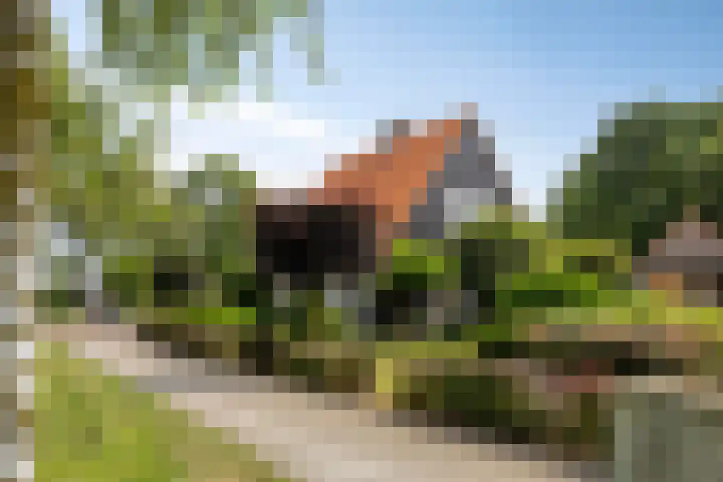 Oliemolenstraat 1 Uden thumbnail 44