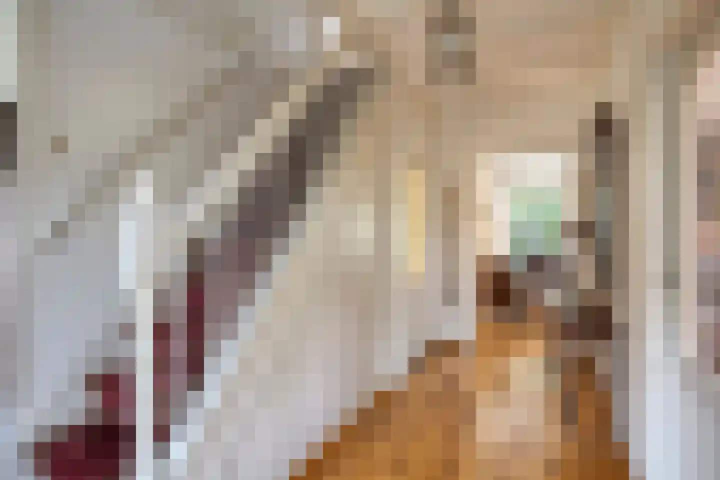 Oliemolenstraat 1 Uden thumbnail 6
