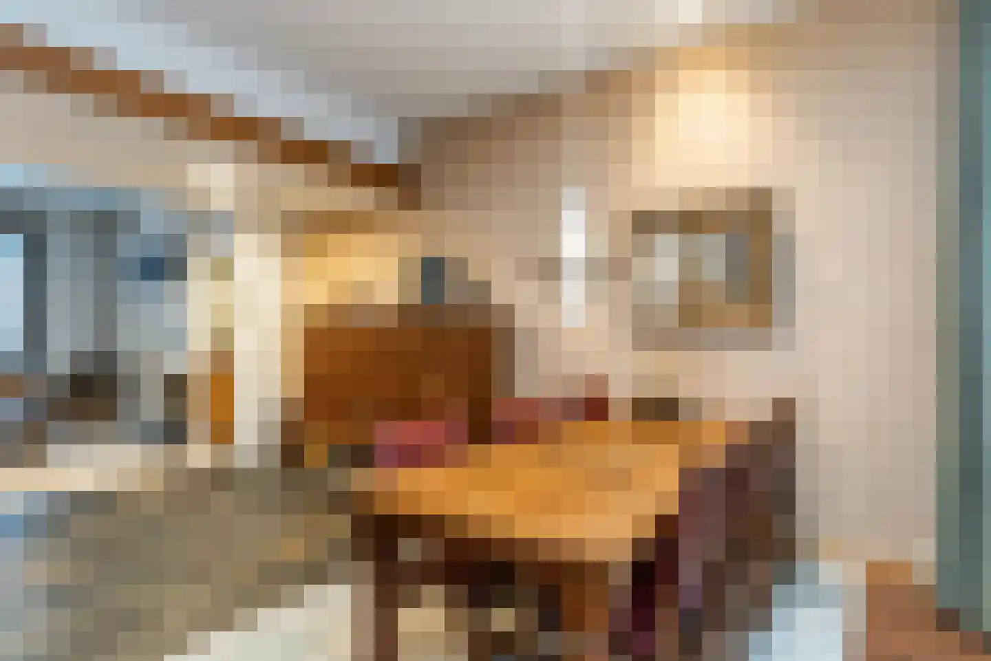 Oliemolenstraat 15 Heerlen thumbnail 10