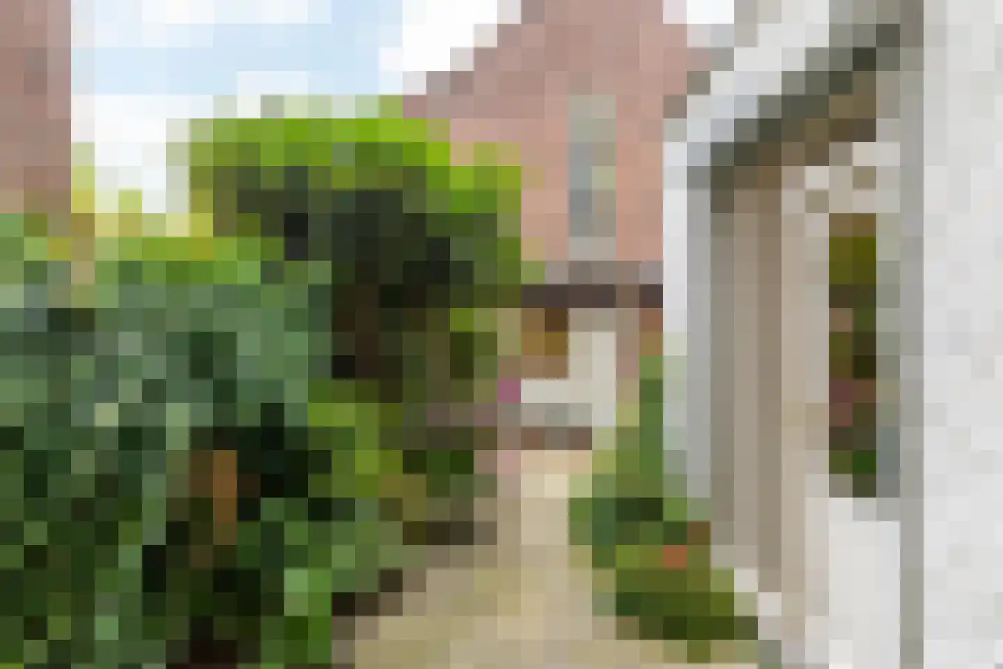 Oliemolenstraat 15 Heerlen thumbnail 32