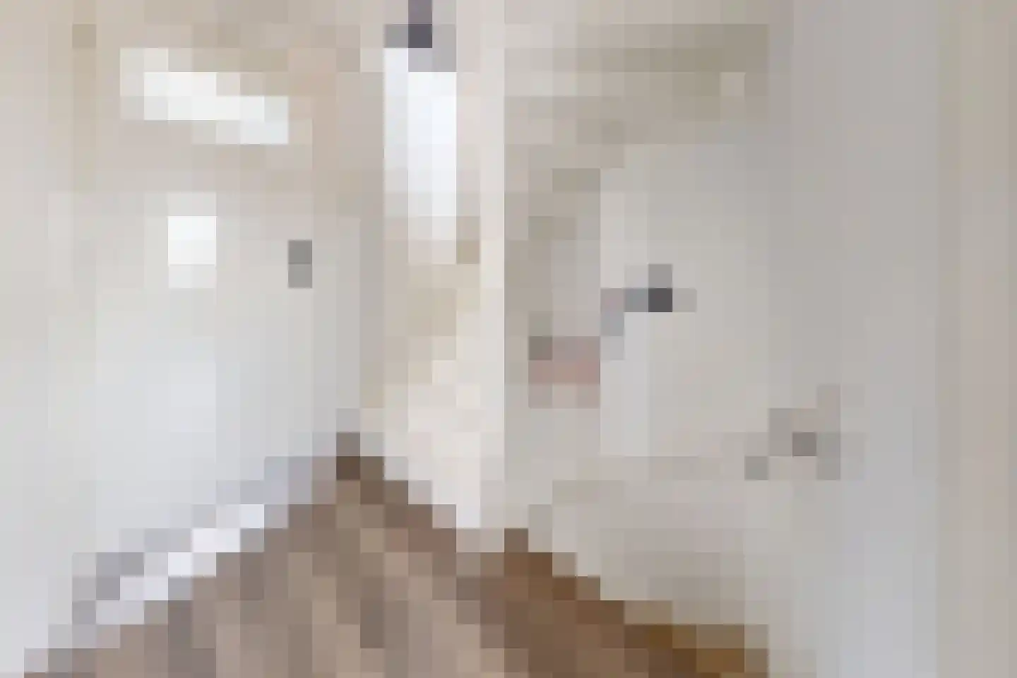 Oliemolenstraat 18 Klundert thumbnail 21