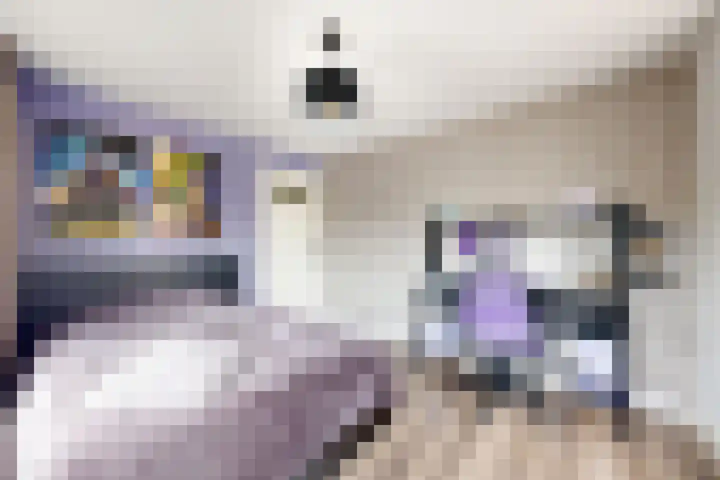 Oliemolenstraat 18 Klundert thumbnail 31