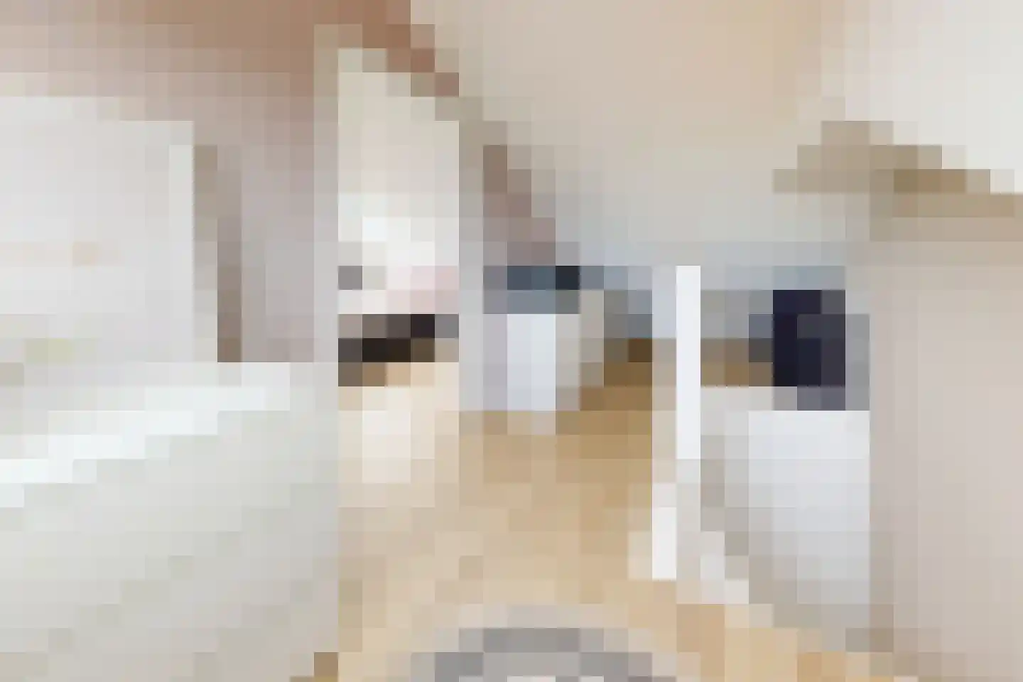 Oliemolenstraat 18 Klundert thumbnail 35