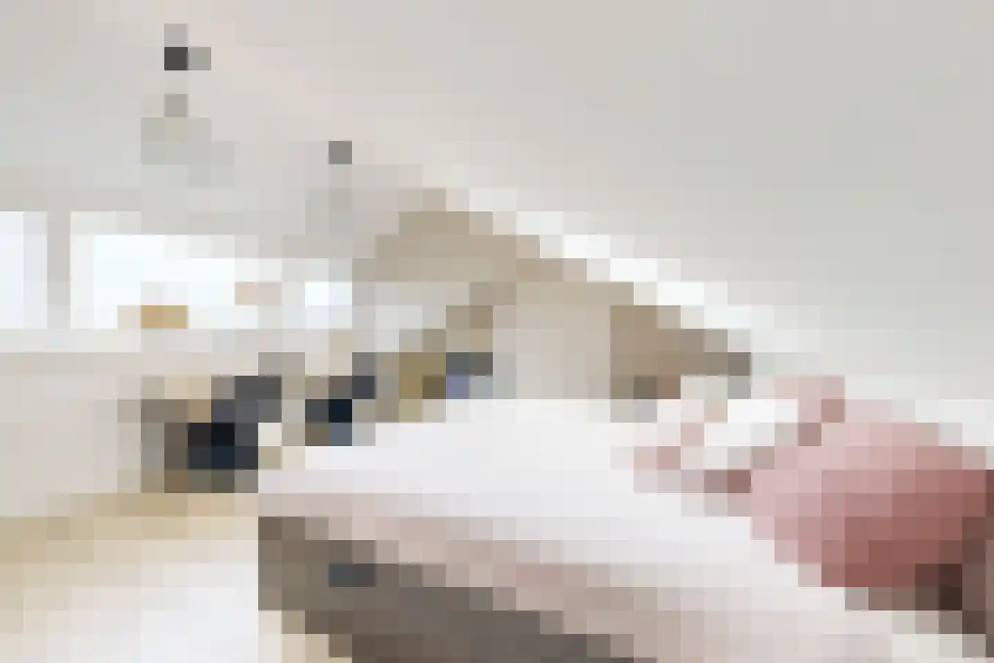 Oliemolenstraat 18 Klundert thumbnail 37