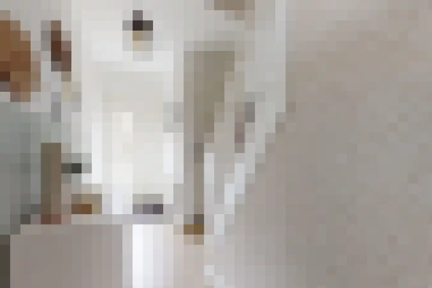 Oliemolenstraat 18 Klundert thumbnail 7