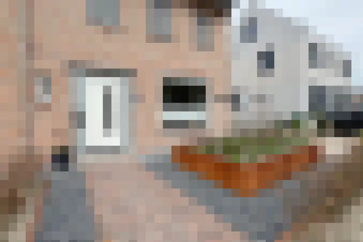 Oliemolenstraat 18 Klundert thumbnail 72