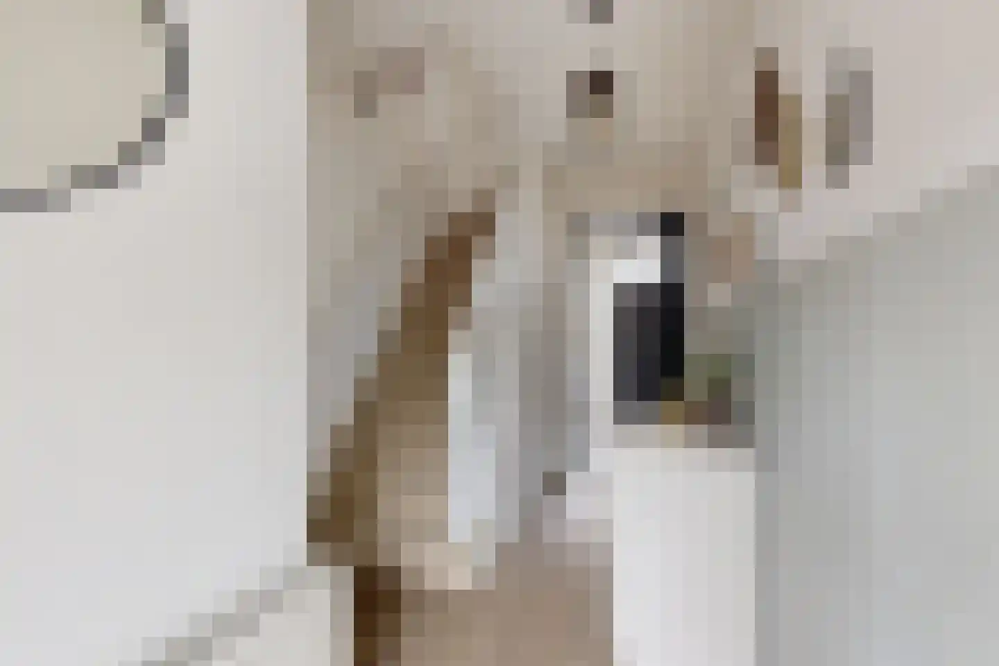 Oliemolenstraat 18 Klundert thumbnail 8