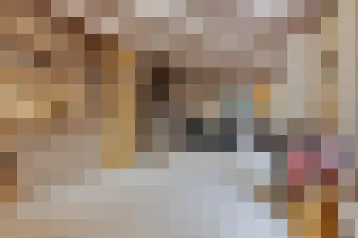 Oliemolenstraat 2 Terborg thumbnail 12