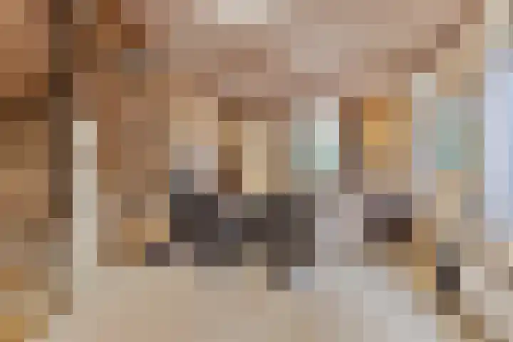 Oliemolenstraat 2 Terborg thumbnail 13