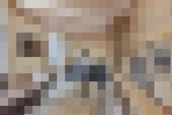 Oliemolenstraat 2 Terborg thumbnail 17