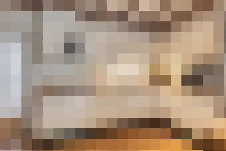 Oliemolenstraat 2 Terborg thumbnail 20