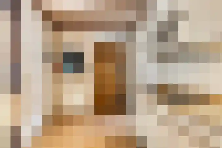 Oliemolenstraat 2 Terborg thumbnail 21