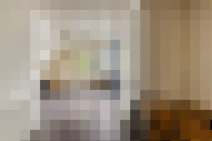 Oliemolenstraat 2 Terborg thumbnail 28