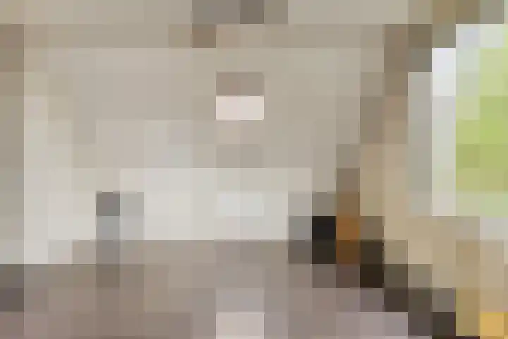 Oliemolenstraat 2 Terborg thumbnail 30