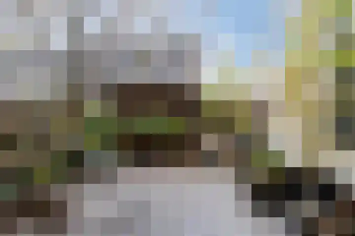 Oliemolenstraat 2 Terborg thumbnail 33