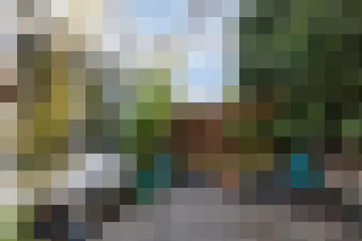 Oliemolenstraat 2 Terborg thumbnail 34