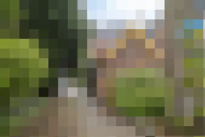 Oliemolenstraat 2 Terborg thumbnail 37