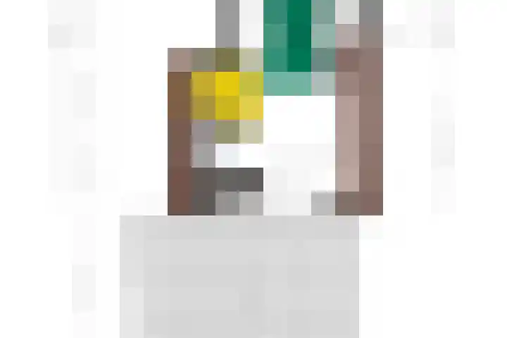 Oliemolenstraat 2 Terborg thumbnail 39