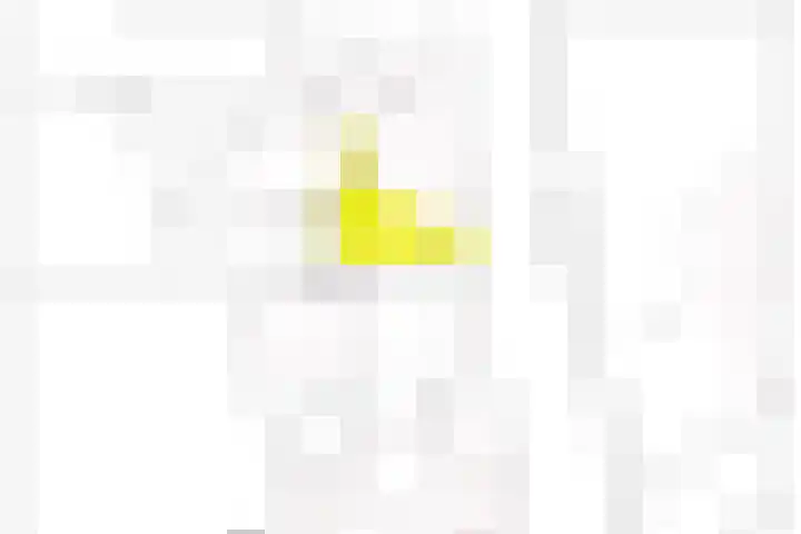 Oliemolenstraat 2 Terborg thumbnail 41