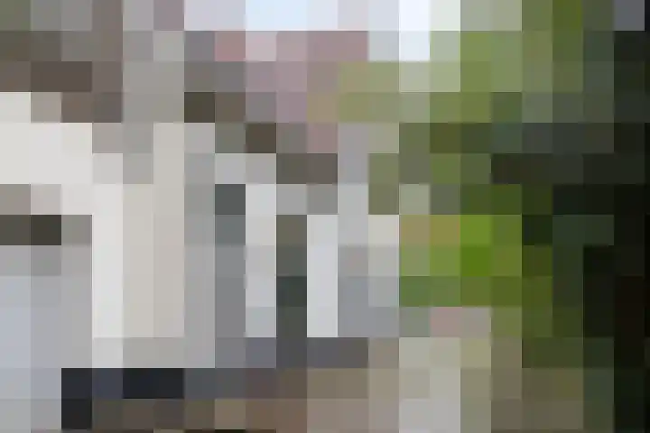 Oliemolenstraat 2 Terborg thumbnail 6