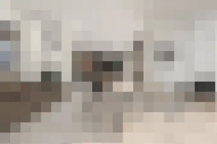 Oliemolenstraat 3 Heerlen thumbnail 4
