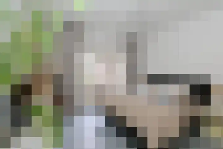 Oliemolenstraat 31 Heerlen thumbnail 16