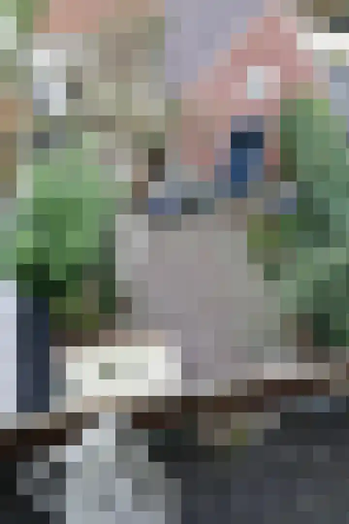 Oliemolenstraat 31 Heerlen thumbnail 23