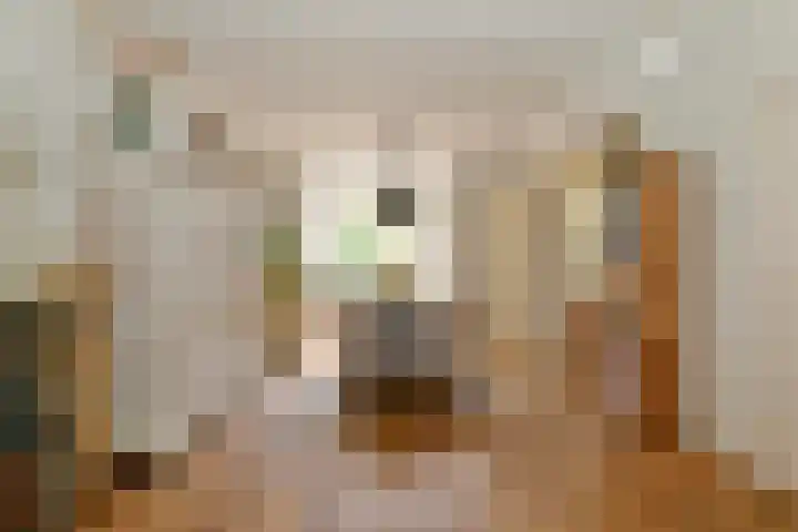 Oliemolenstraat 31 Heerlen thumbnail 7