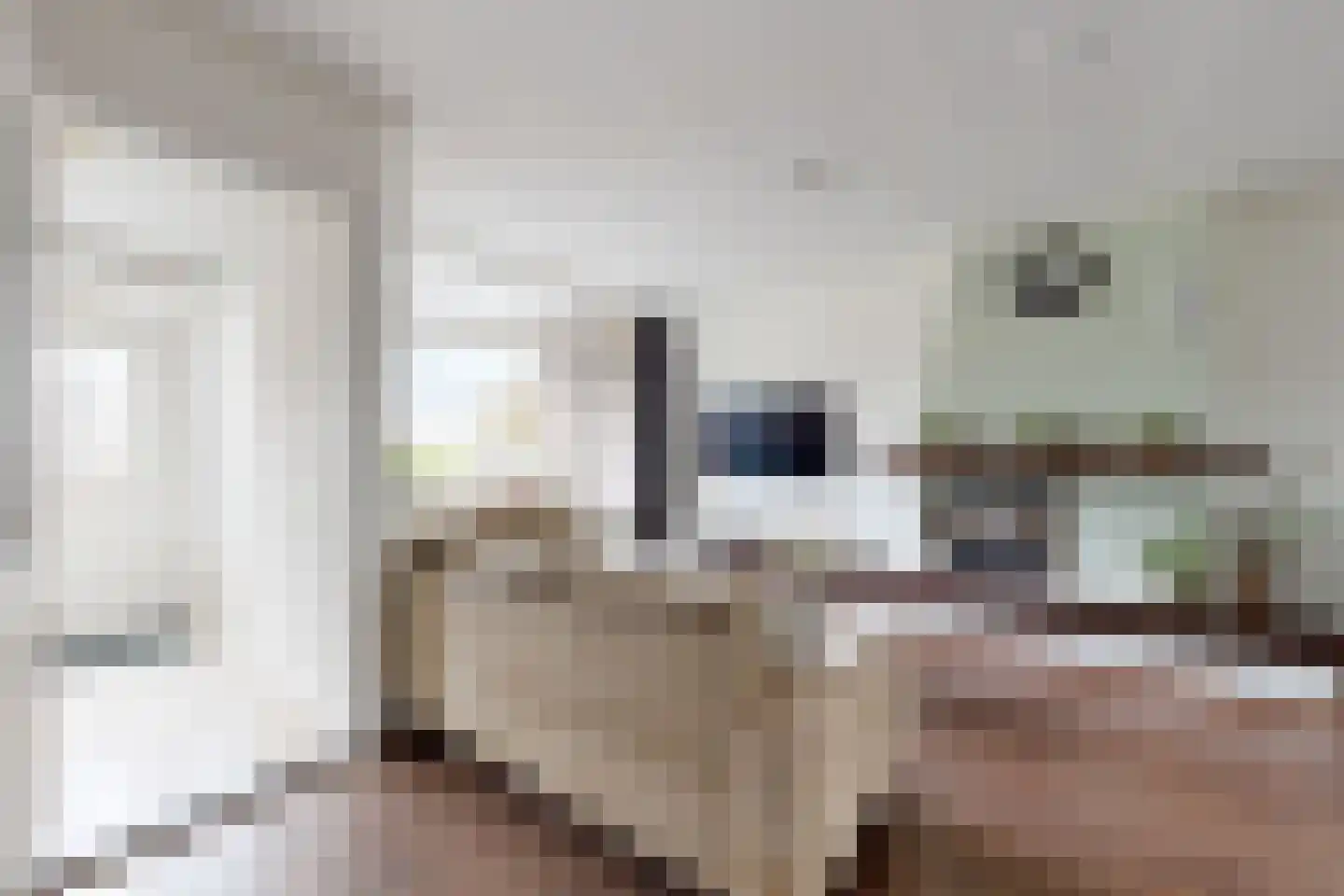 Oliemolenstraat 38 Klundert thumbnail 10