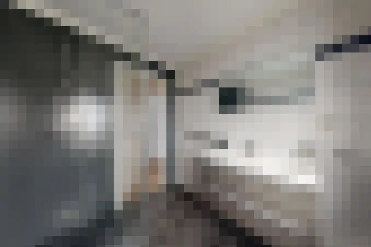 Oliemolenstraat 38 Klundert thumbnail 42