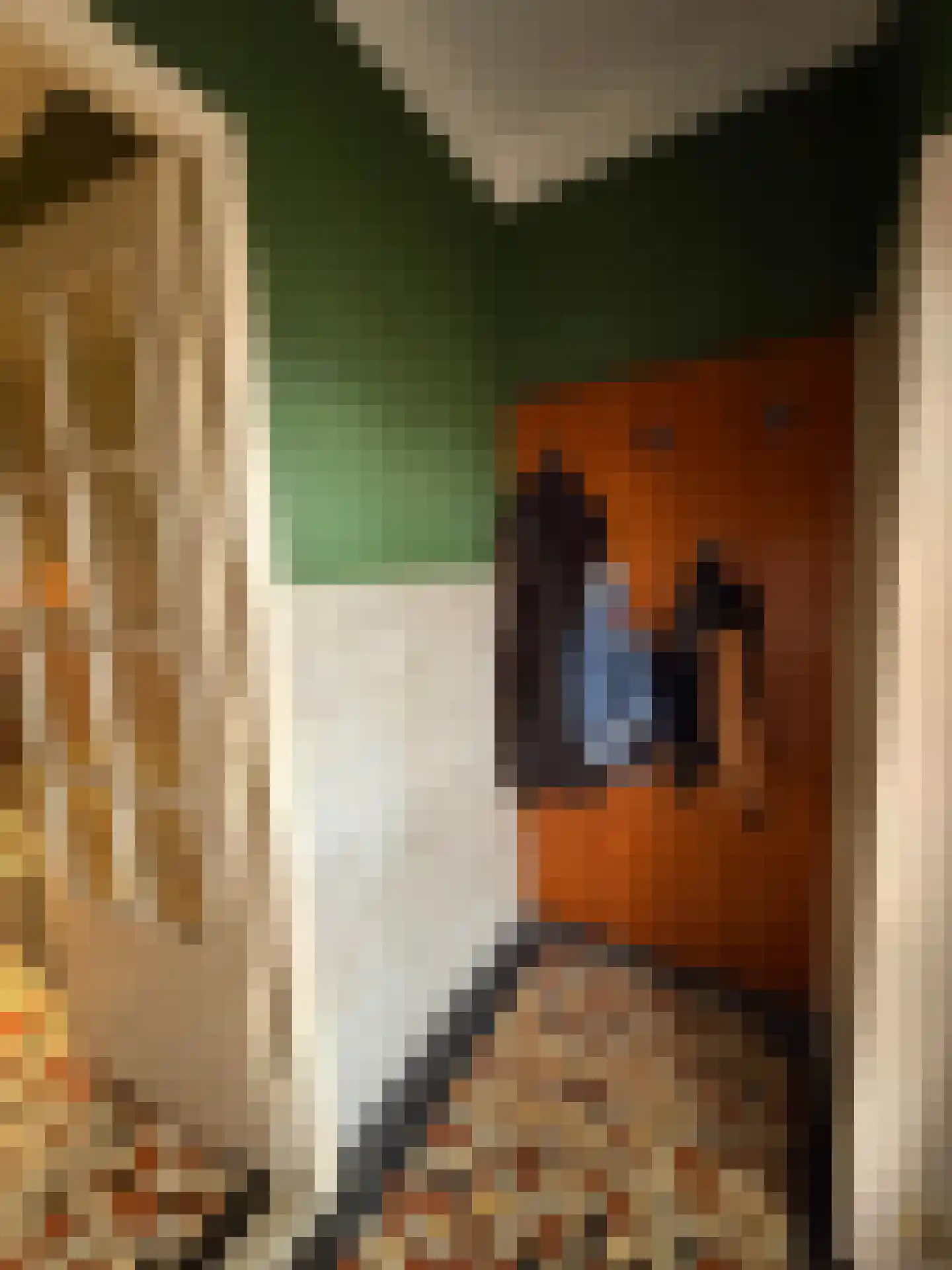 Oliemolenstraat 5 Klundert thumbnail 10