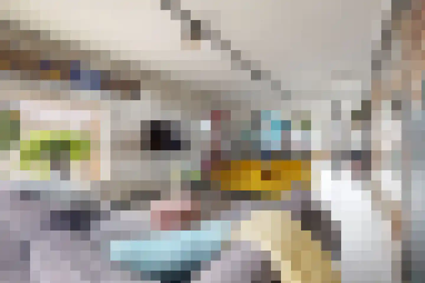 Oliemolenstraat 5 Klundert thumbnail 4