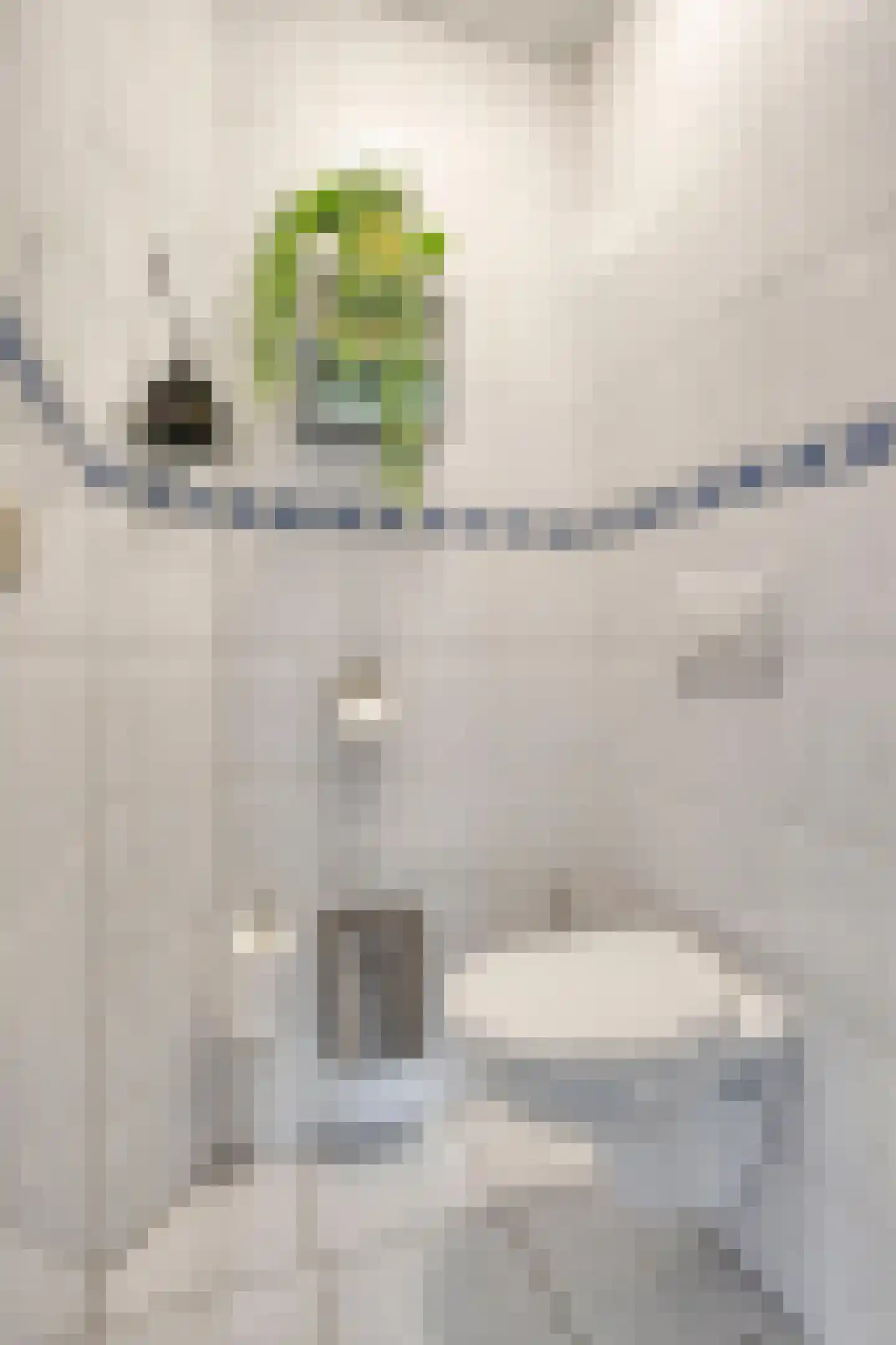 Oliemolenstraat 5 Klundert thumbnail 42