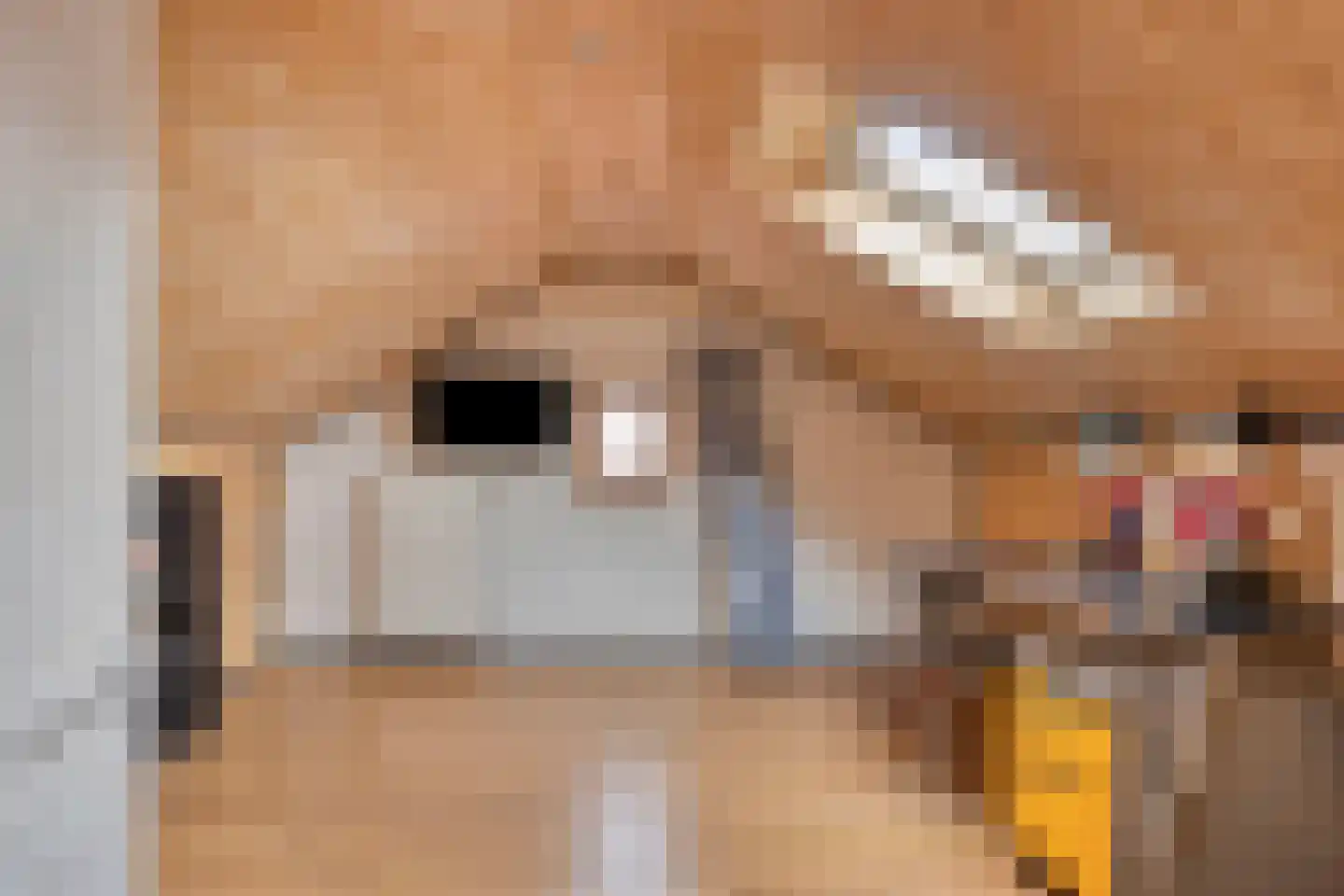 Oliemolenstraat 5 Klundert thumbnail 45