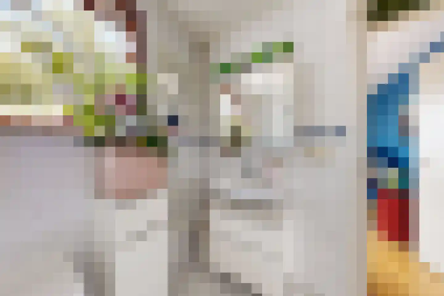 Oliemolenstraat 5 Klundert thumbnail 60
