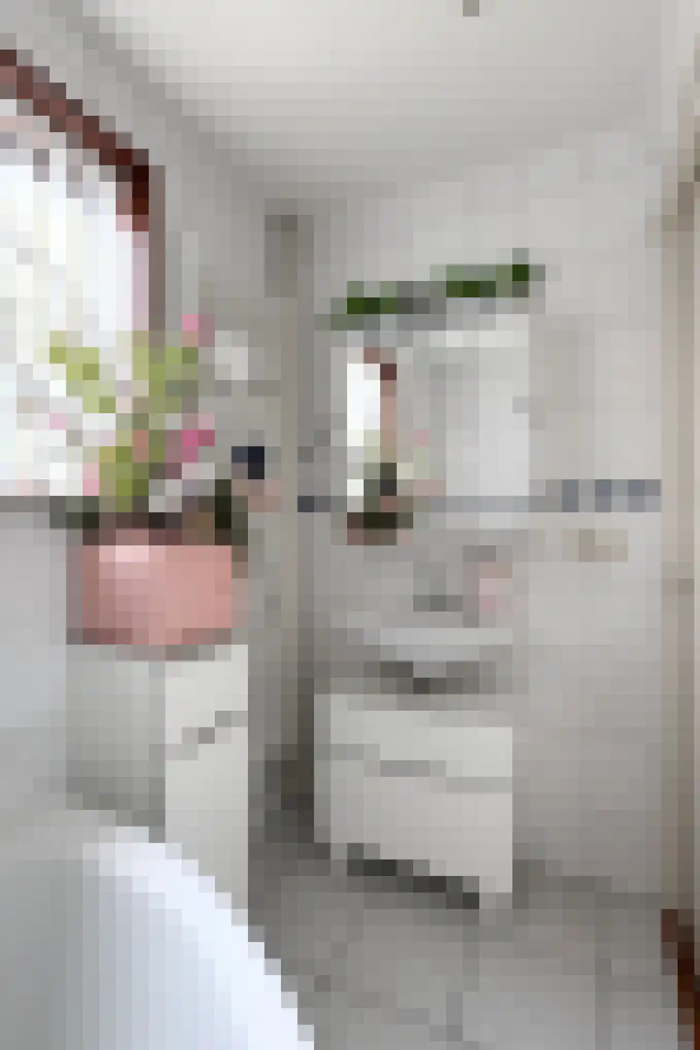 Oliemolenstraat 5 Klundert thumbnail 62