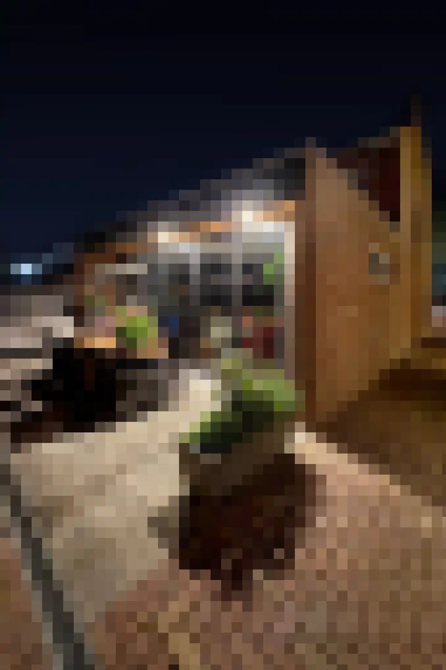 Oliemolenstraat 5 Klundert thumbnail 80