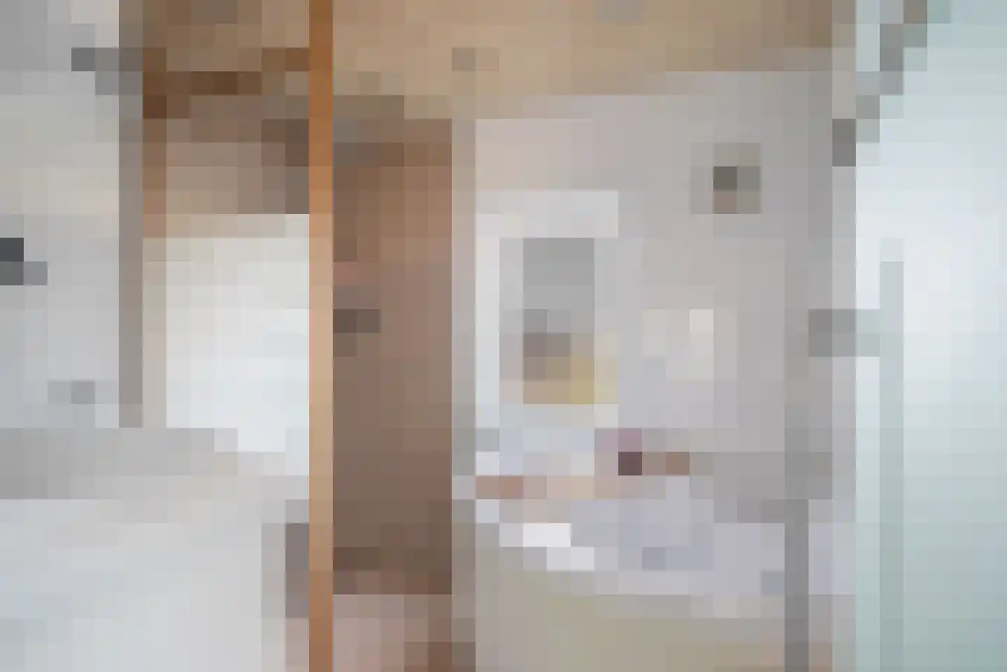 Oliemolenstraat 8 Klundert thumbnail 22
