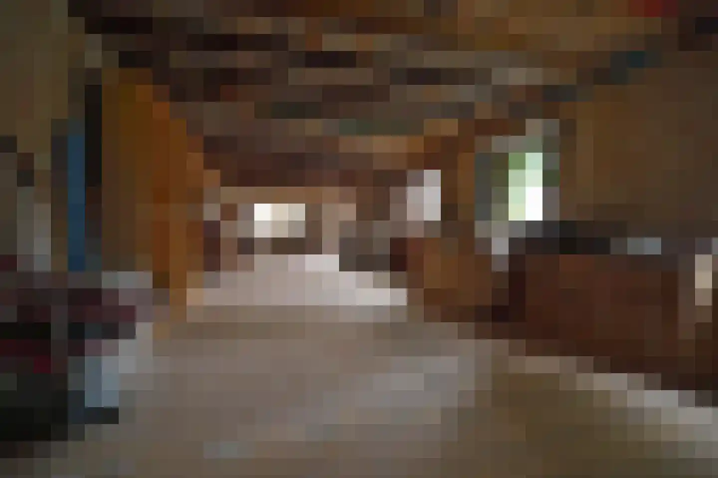 Oliemolenstraat 83 Heerlen thumbnail 32