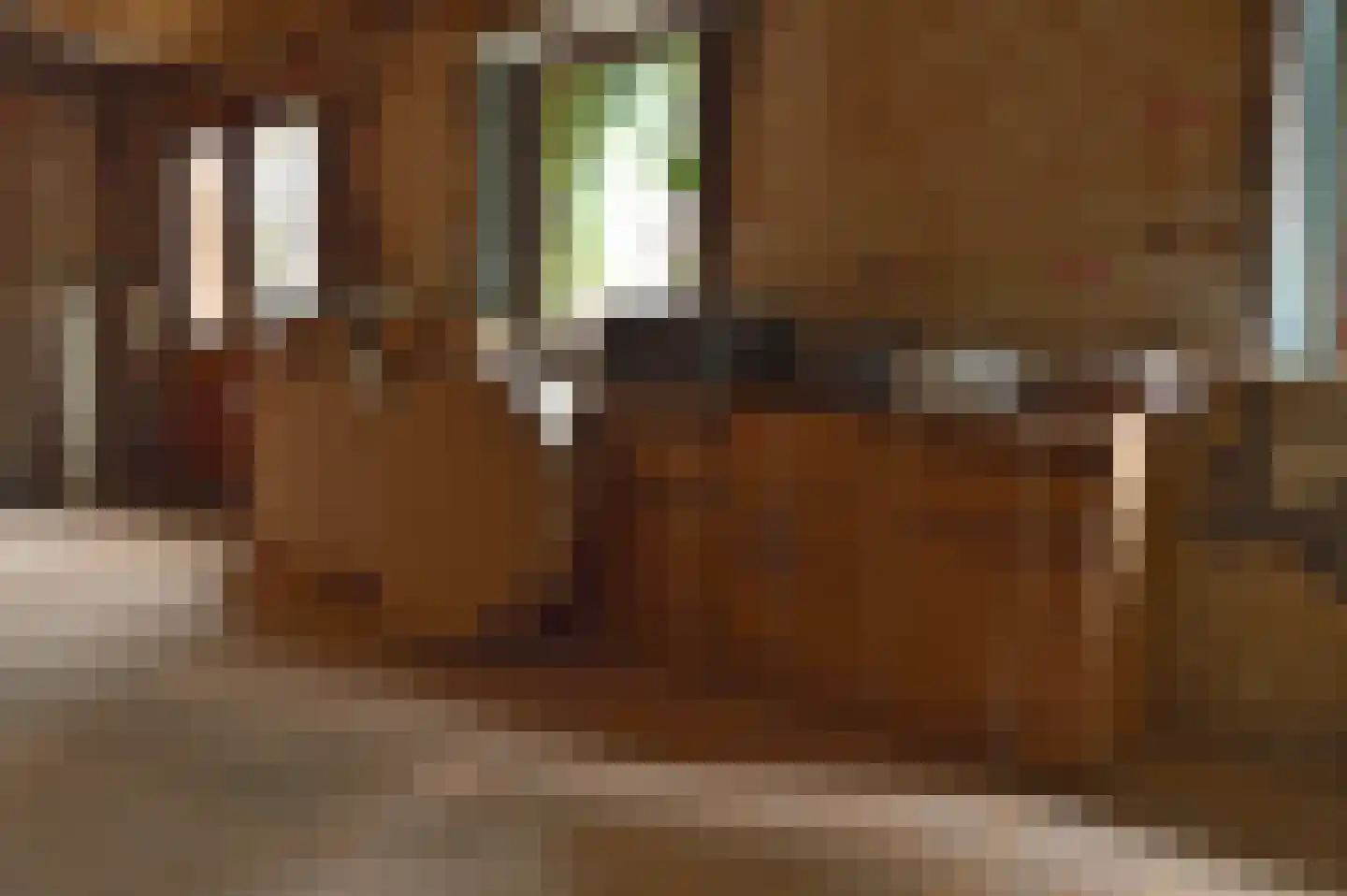 Oliemolenstraat 83 Heerlen thumbnail 33