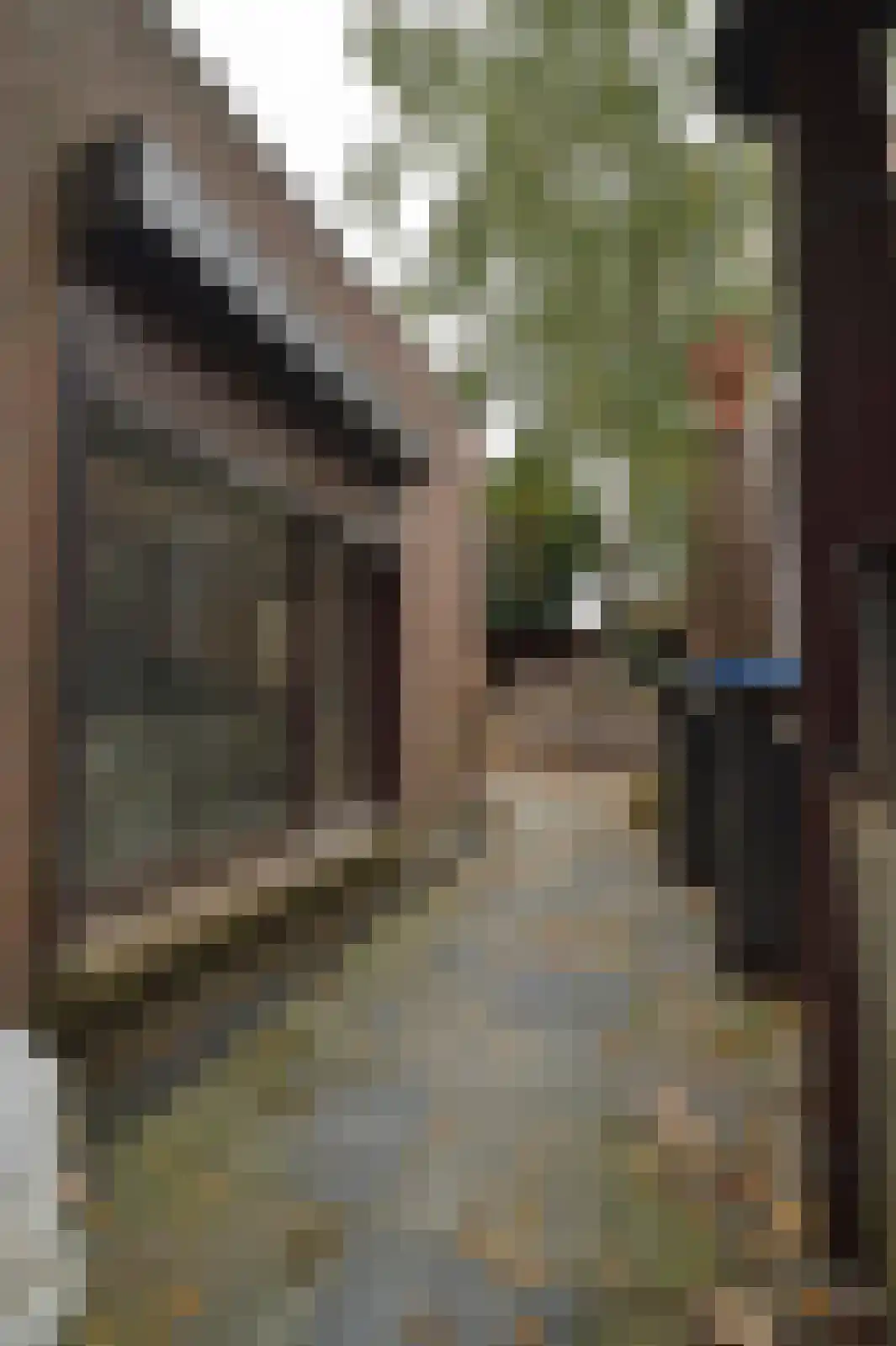 Oliemolenstraat 83 Heerlen thumbnail 41