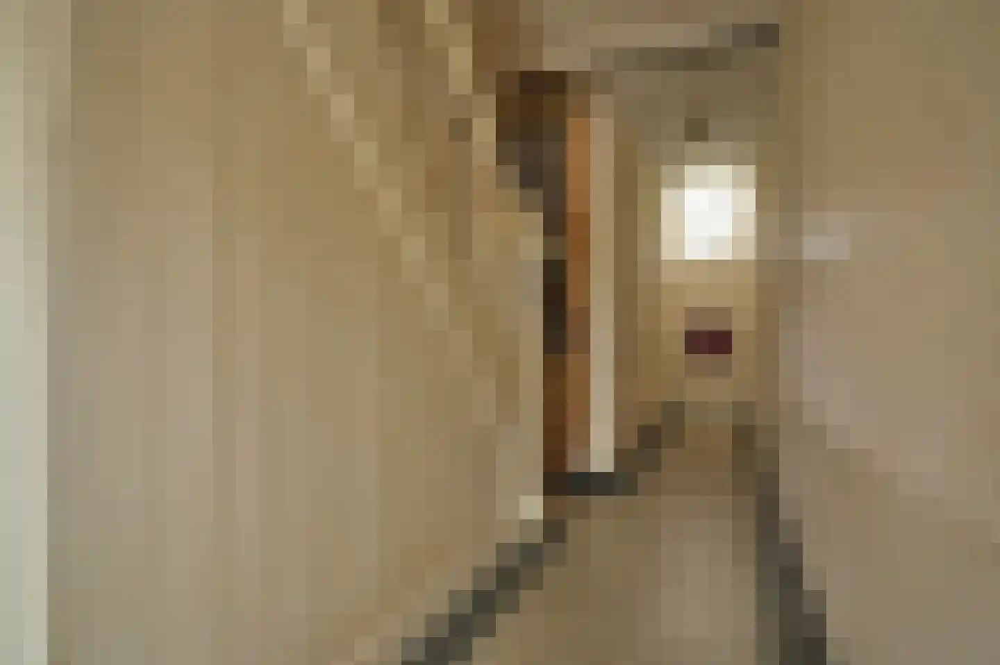 Oliemolenstraat 83 Heerlen thumbnail 46