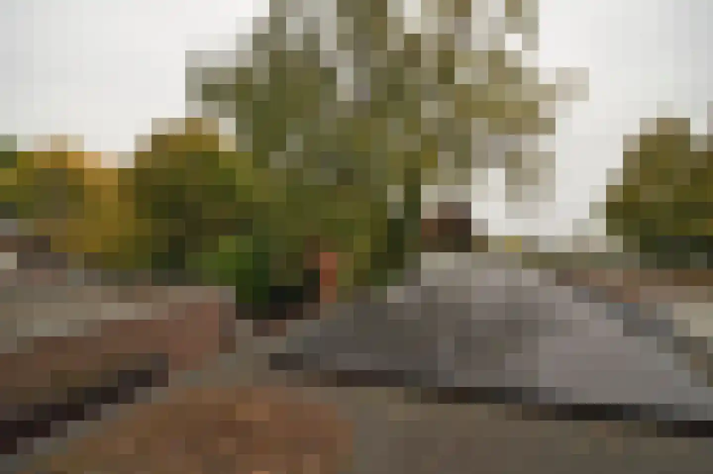 Oliemolenstraat 83 Heerlen thumbnail 63