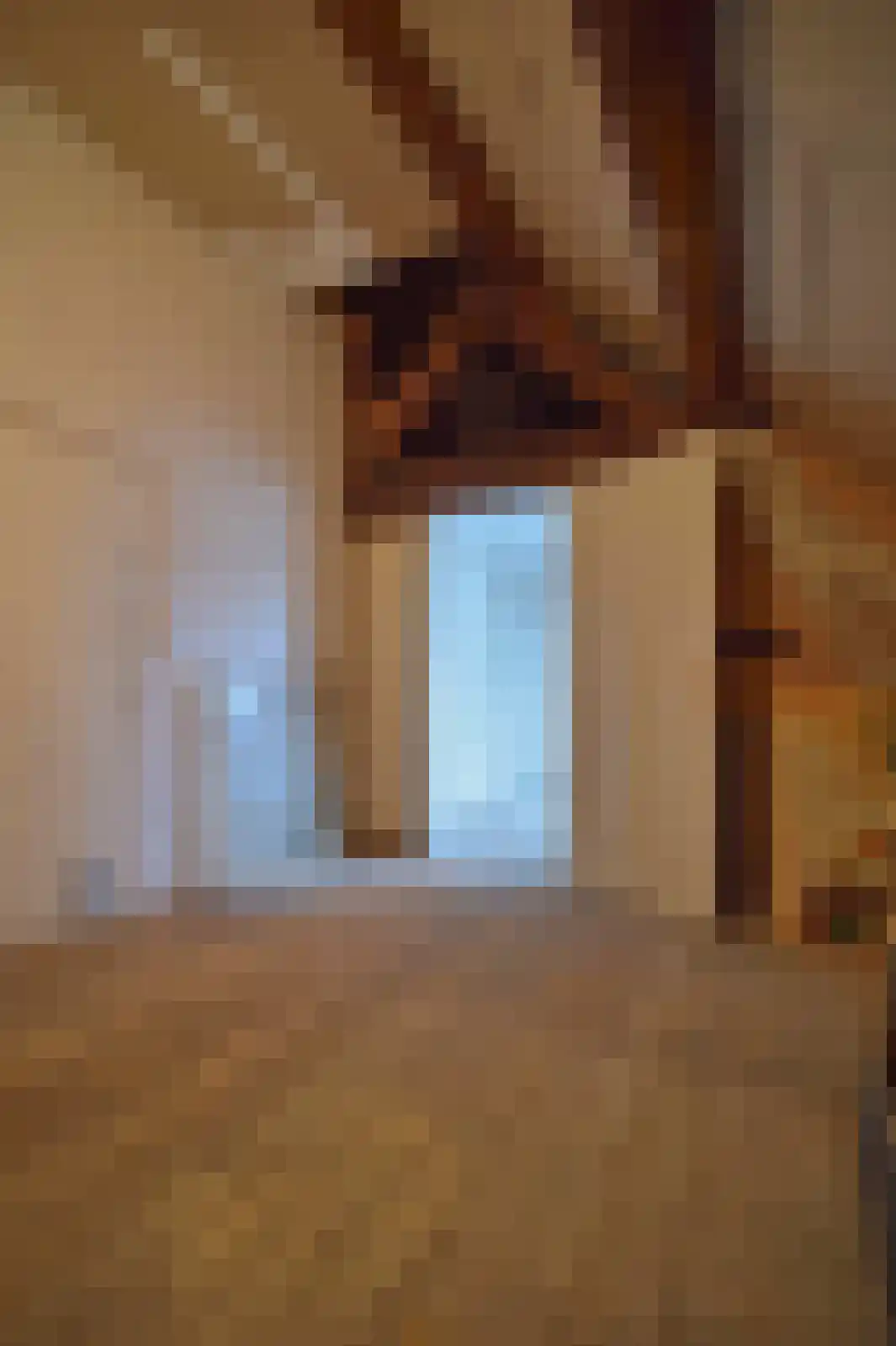 Oliemolenstraat 83 Heerlen thumbnail 72