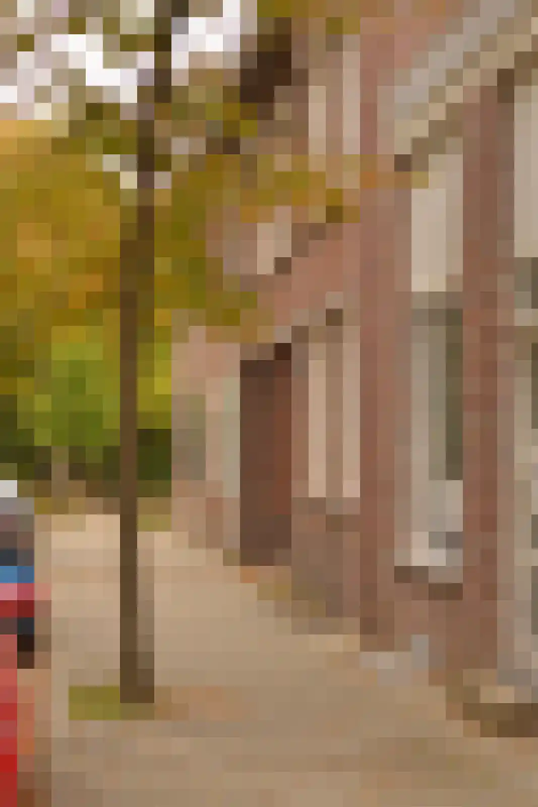 Oliemolenstraat 83 Heerlen thumbnail 8