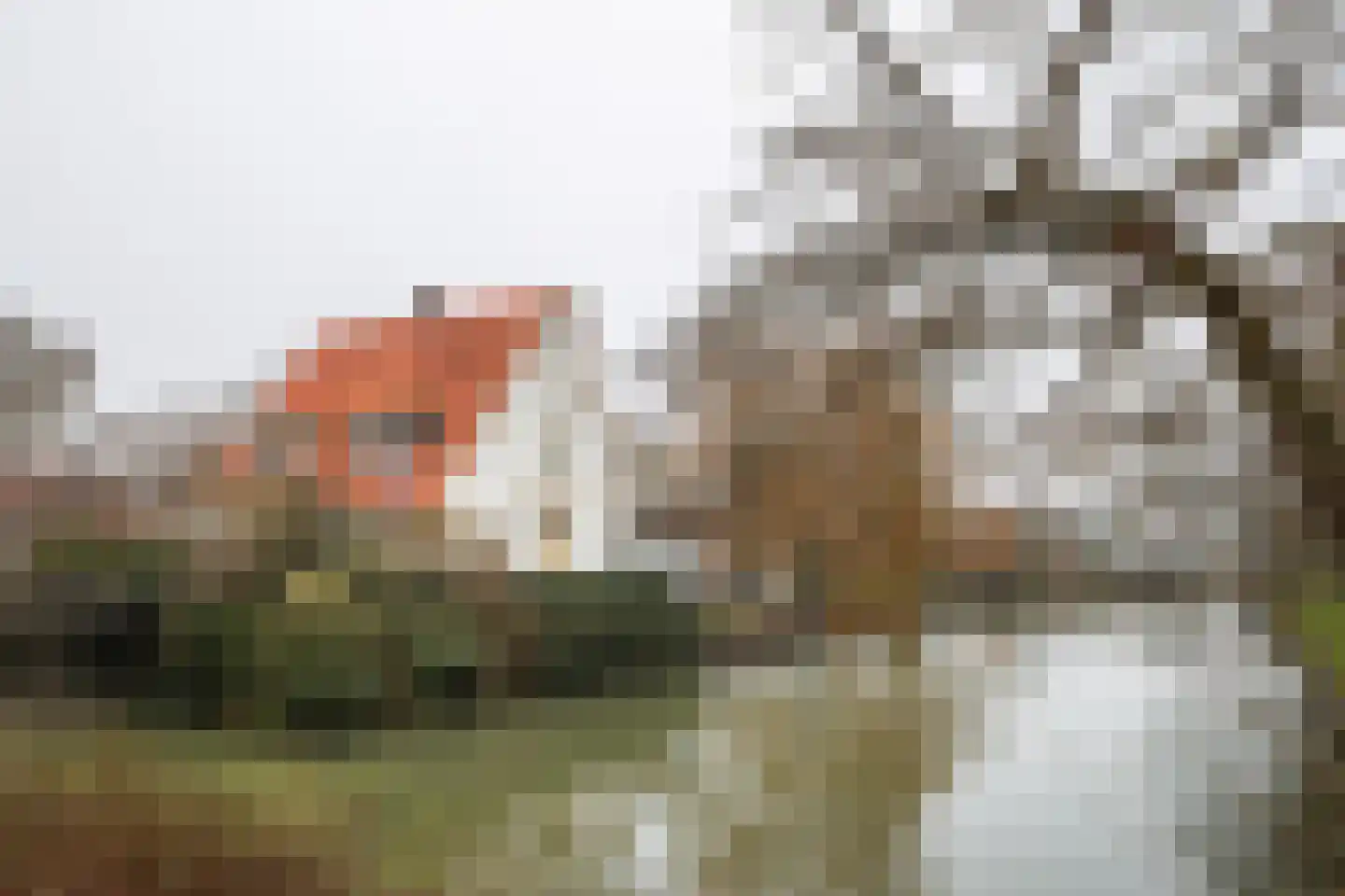 Oliemolenwal 19 01 Tiel thumbnail 29
