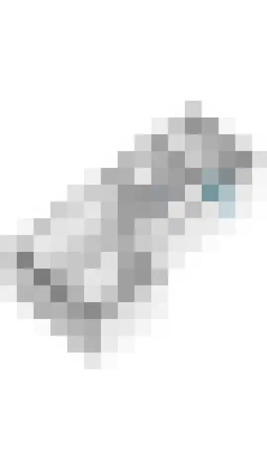 Oliemolenwal 19 01 Tiel thumbnail 35
